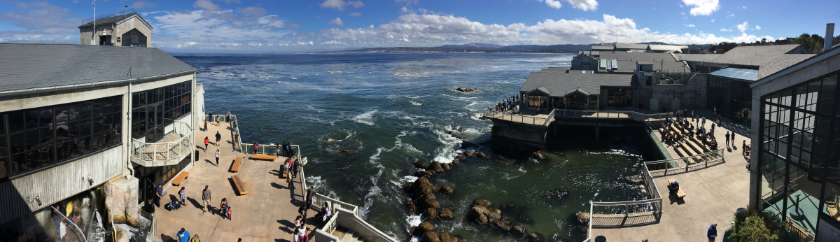 Monterey Bay Aquarium